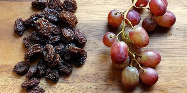 تصویر 5 از خرید و قیمت انگور خشک مویز + فروش صادراتی